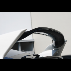 EVS Tuning - Carbon Rear Gurney Flap (OE Fit) - Honda Civic Type R FK8 2017-21